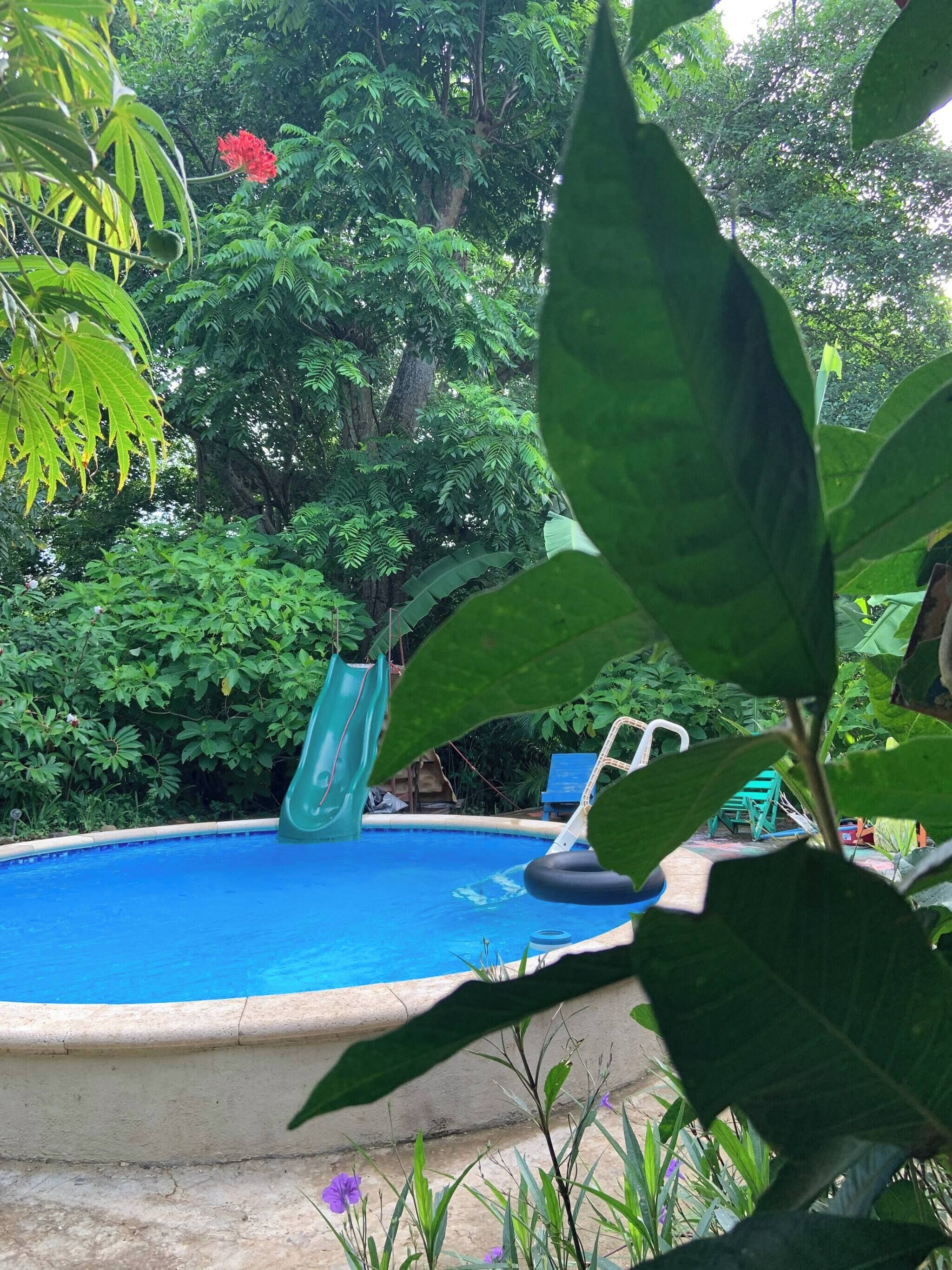 Shared Dormitory, 4 Bedrooms, Smoking | Pool | Outdoor pool