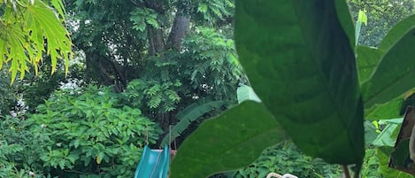 A swimming pool surrounded by lush greenery and a slide.