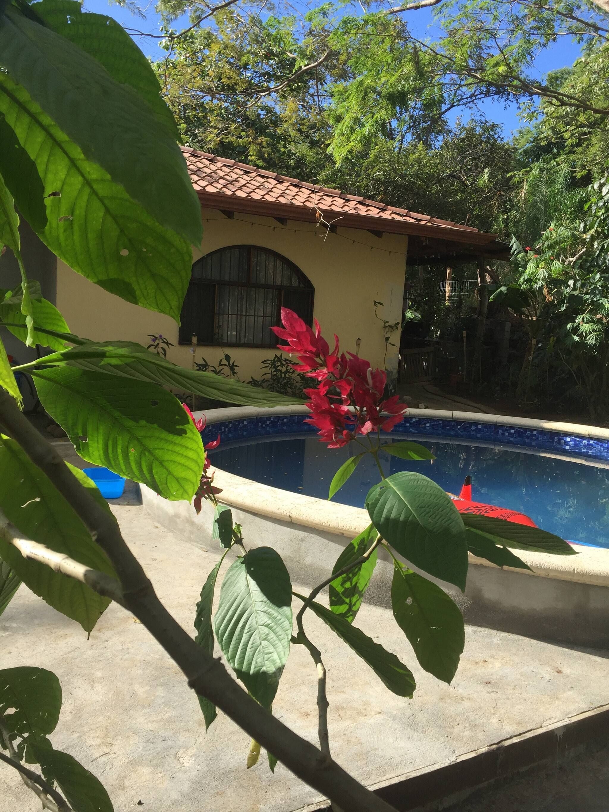 Una piscina con borde de baldosas, rodeada de abundante vegetación y un edificio con techo de tejas.