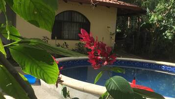 Una piscina con borde de baldosas, rodeada de abundante vegetación y un edificio con techo de tejas.