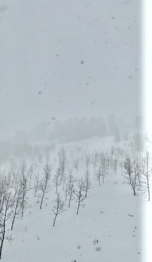 Miscellaneous - Luxury Condo Alpine at Powder Town (Eden)