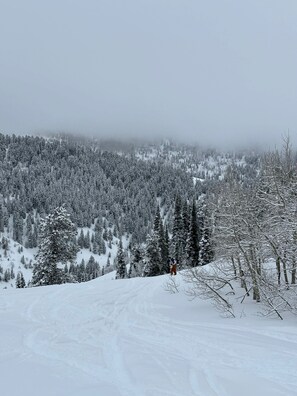 Snow and ski sports - Luxury Condo Alpine at Powder Town (Eden)