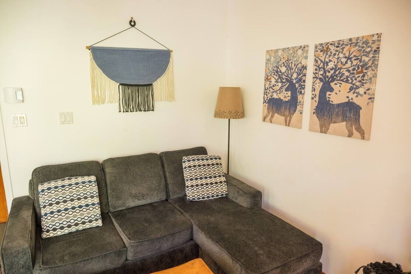 Een grijze hoekbank met gekleurde kussens, een hangende macramé decoratie, een vloerlamp en twee wanddecoraties van een boom en een dier.