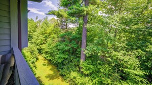 A pathway surrounded by dense green foliage, leading to a building with a visible window and a porch. - Adirondacks 6 | Fireplace, Restaurant, Pool, Spa (Blowing Rock)