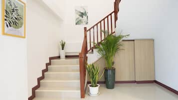 A staircase with wooden railings, white walls, and two potted plants.