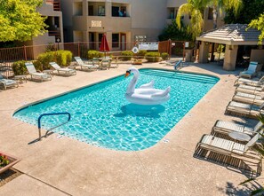 Outdoor pool, a heated pool - "The Loft"- 5 Star Scottsdale Golf-Course Villa  Pool + Spa (Scottsdale)