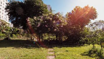 Un sendero atraviesa un parque con árboles y un edificio al fondo.