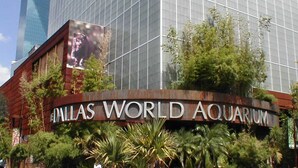 The exterior of the Dallas World Aquarium with a large glass facade and signage. - Modern Carrollton Retreat | Pool | Sleeps 8 (Carrollton)