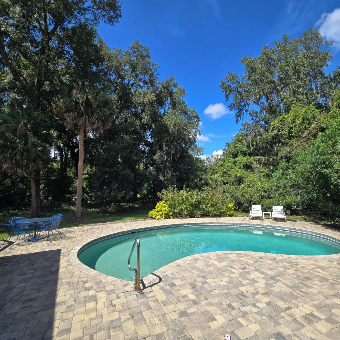 Une piscine entourée d’arbres et de verdure, avec une terrasse en briques.