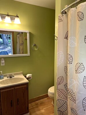 Ein Badezimmer mit einem Holzkosmetikschrank, einem Spiegel, einer Toilette und einer Duschvorhang mit Blattmustern.