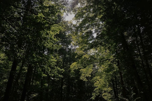 Frieden Saugatuck