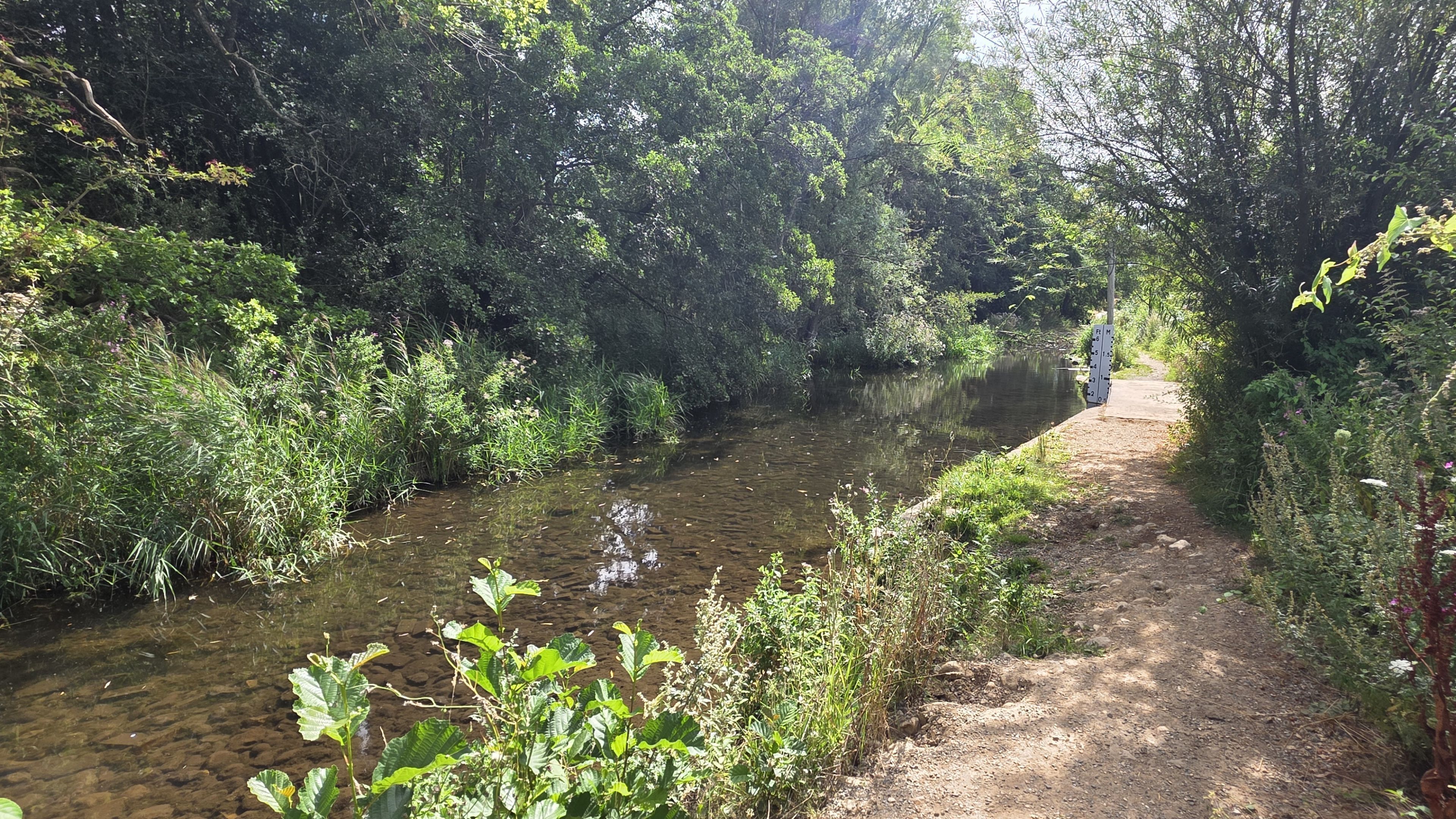 A narrow waterway bordered by dense vegetation and a dirt path.