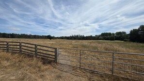 A fenced field with dry grass and trees in the background.