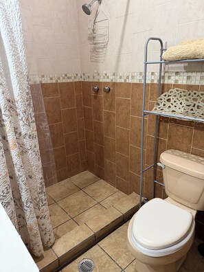 Ein Badezimmer mit Dusche, Toilette und Handtuchhalter.