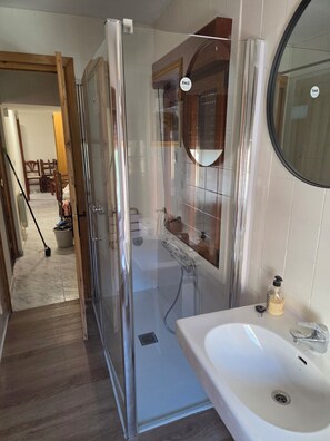 Bathroom - Rural apartment in a private building; pets allowed (Lapuebla de Labarca)