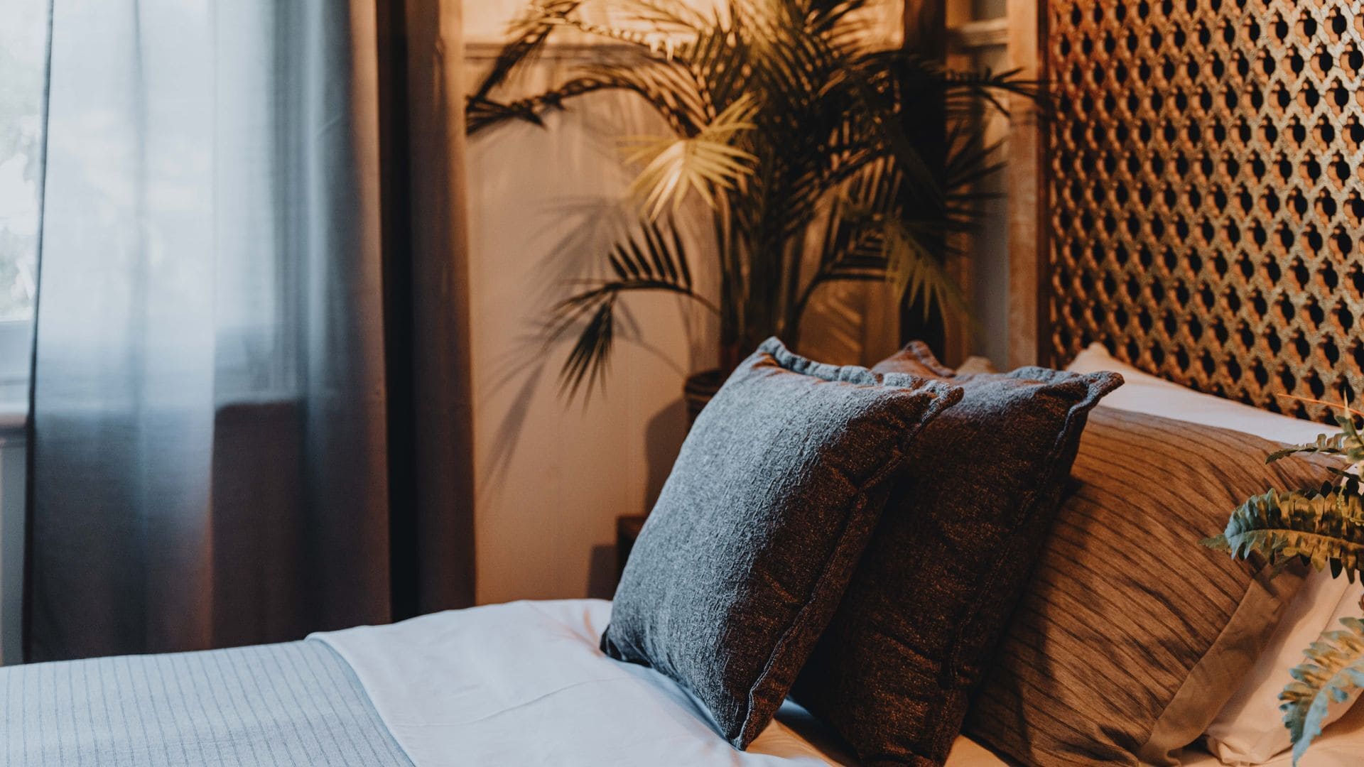 WiFi, bed sheets