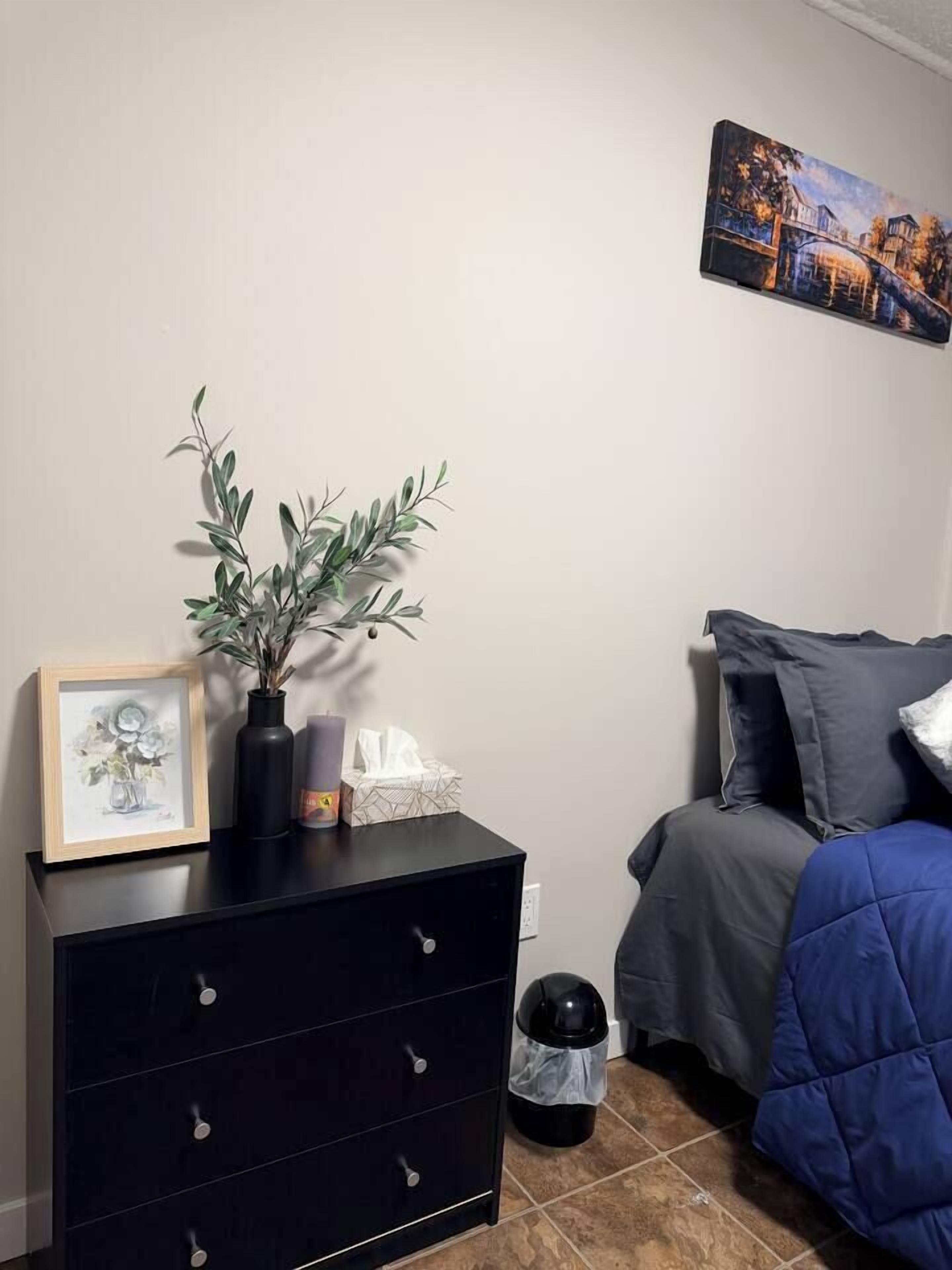 Une chambre à coucher avec un lit, une commode à tiroirs, un vase avec une plante, un tableau encadré et une peinture accrochée au mur.