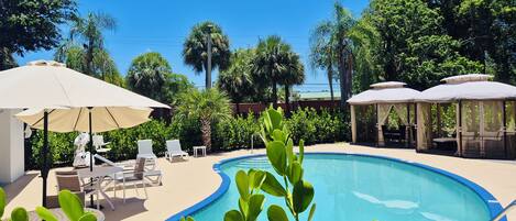 A swimming pool with lounge chairs and umbrellas, surrounded by greenery and trees.