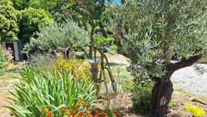 Un jardin où l’on trouve une variété de plantes et un arbre.