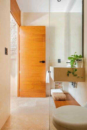 A modern bathroom with a wooden door, a white sink, a mirror, and a plant. - DÉJÁ VU PH 410 By SANDY POWERFUL (Tulum)