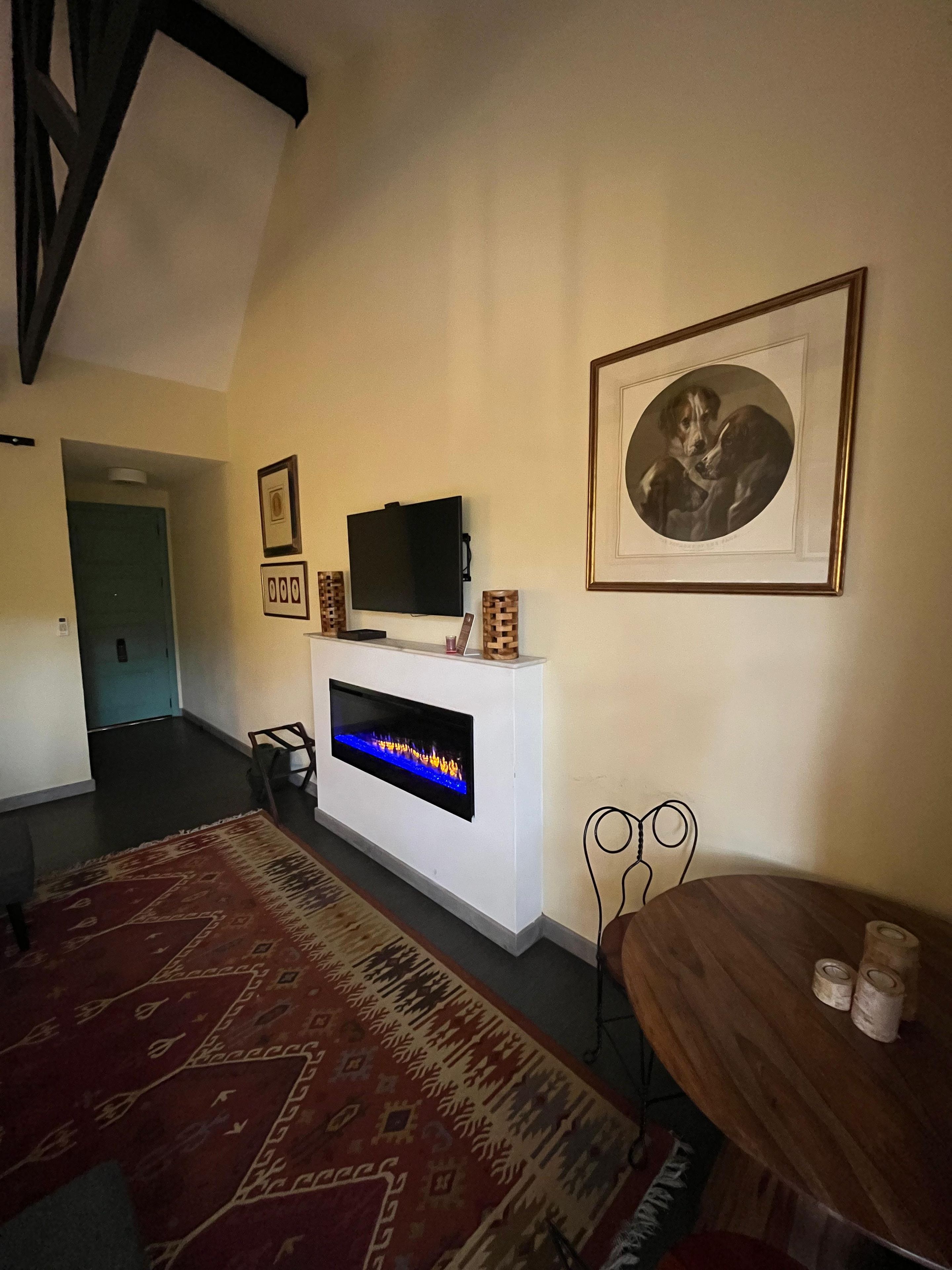 Una sala de estar con chimenea, televisor, un cuadro enmarcado y alfombra estampada.