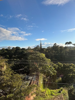 A landscape with a clear sky, dense greenery, and a distant tree. - Boutique Hotel La Casona  (Valle de Angeles)