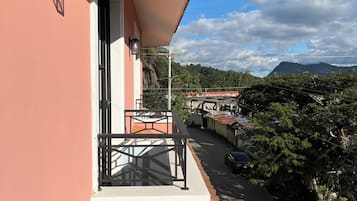 A balcony with a view of a road and greenery, a window with a metal railing, and a wall-mounted light fixture.