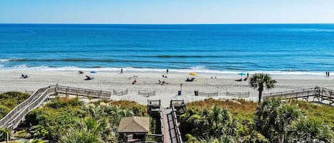 A beach with a wooden boardwalk leading to the water, palm trees, and a clear blue sky.