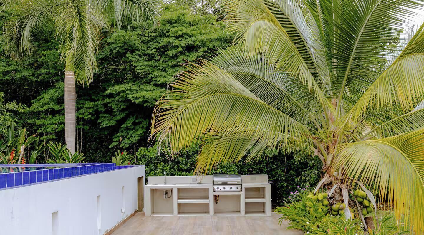 Un espace cuisine extérieur doté d’un barbecue et d’un évier, entouré d’une végétation luxuriante et de palmiers.