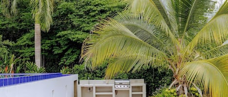 Un espace cuisine extérieur doté d’un barbecue et d’un évier, entouré d’une végétation luxuriante et de palmiers.