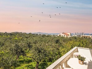 Un balcon orné d’un pot de fleurs, d’où l’on peut admirer un vignoble et une ville côtière avec ses bâtiments, le tout sous un ciel dégagé.
