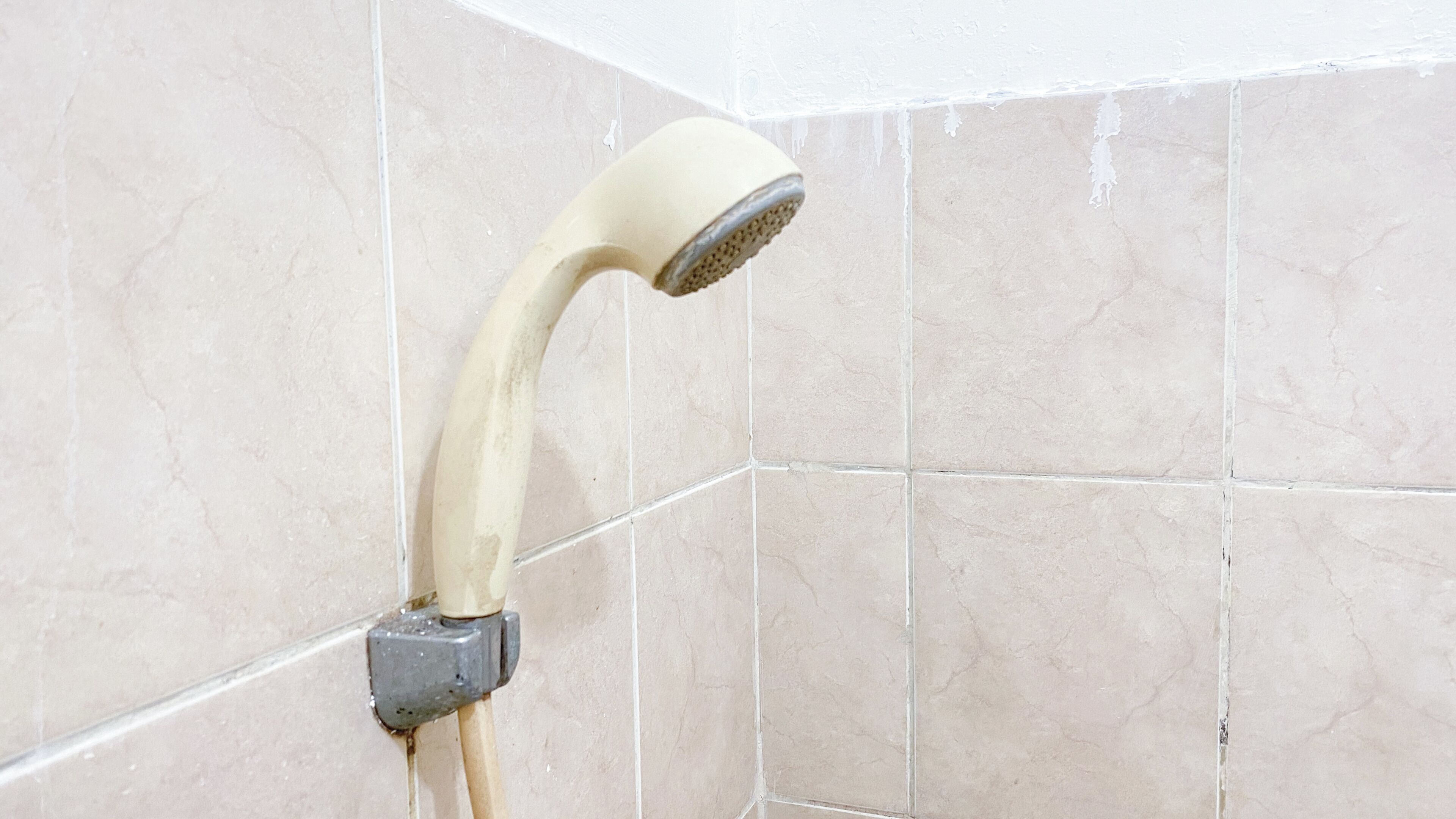 A showerhead attached to a tiled wall.