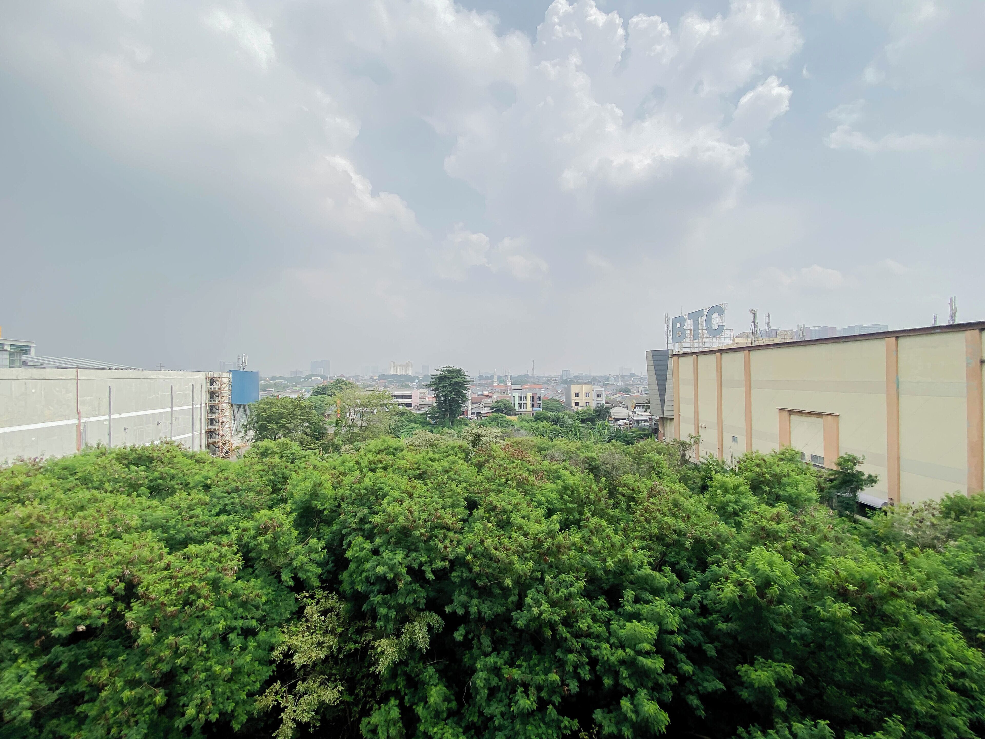 A rooftop view with dense greenery in the foreground, a clear sky, and distant buildings.
