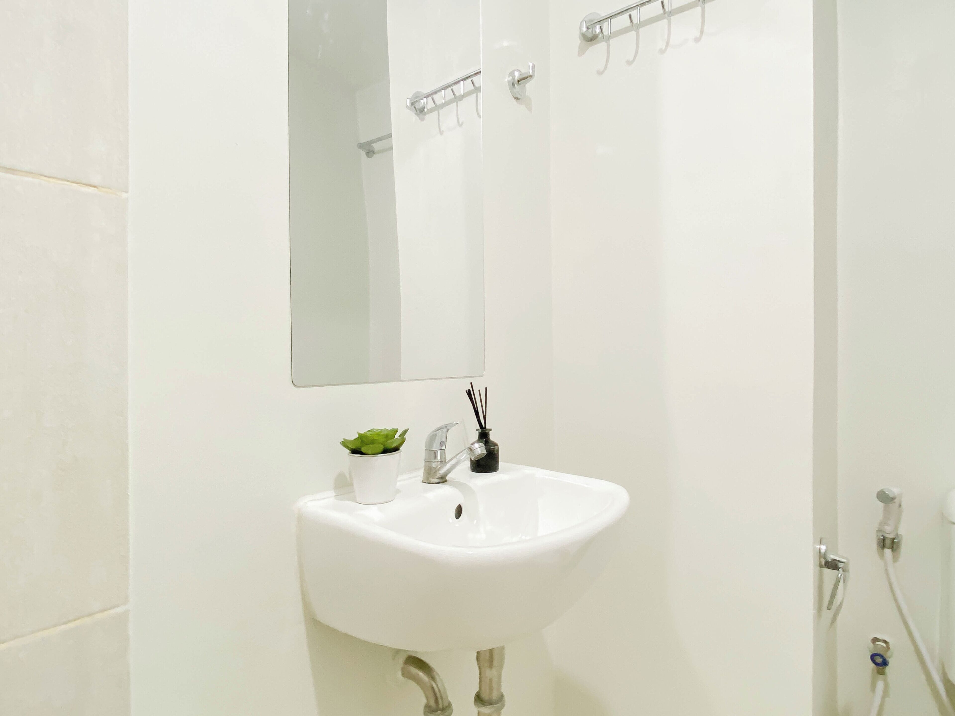 A bathroom with a white sink, a mirror, and a small green plant.