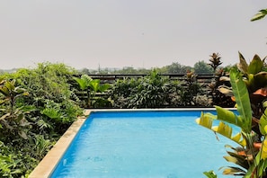 Ein rechteckiger Pool, umgeben von üppiger Vegetation und einem Holzzaun.