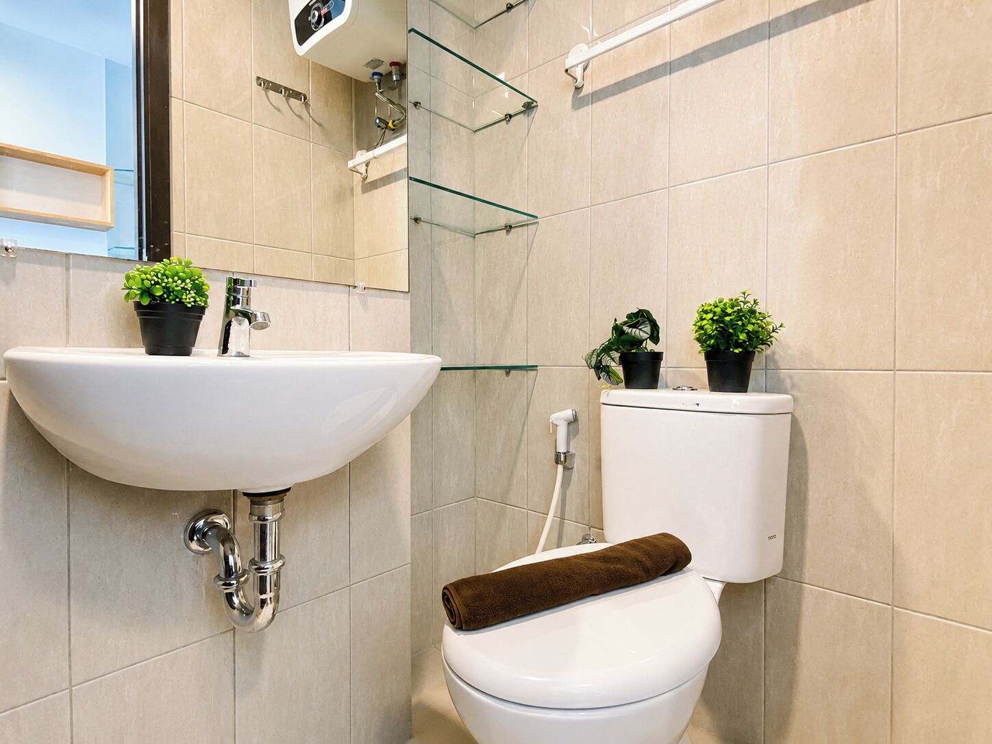 A bathroom with a white sink, toilet, and glass shelves with potted plants.