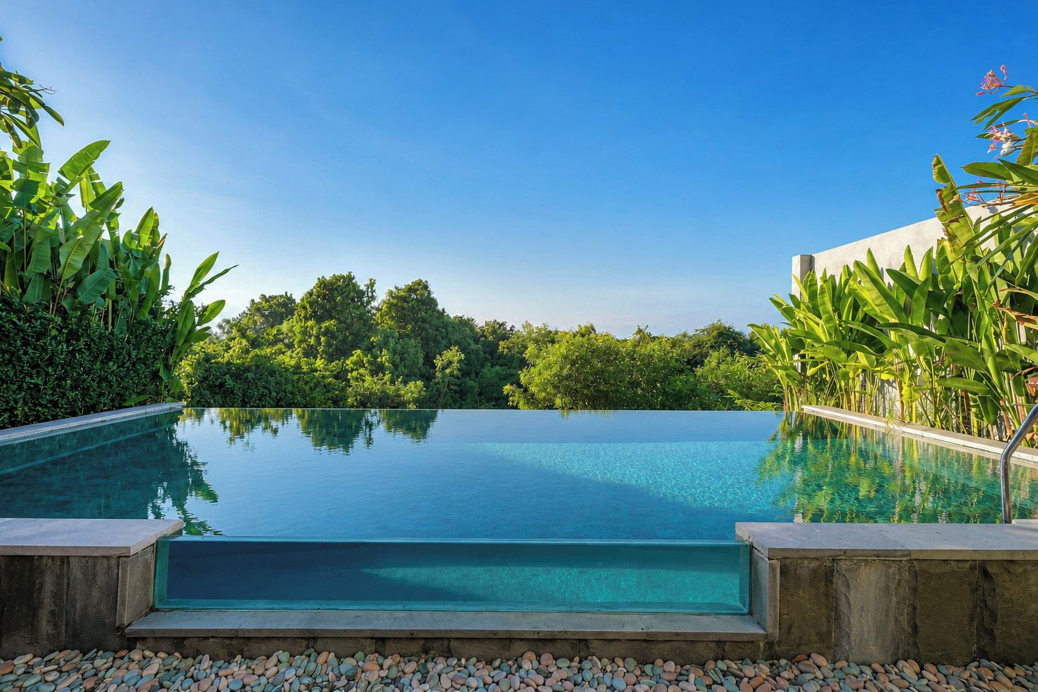 A clear infinity pool with a view of dense greenery and trees.