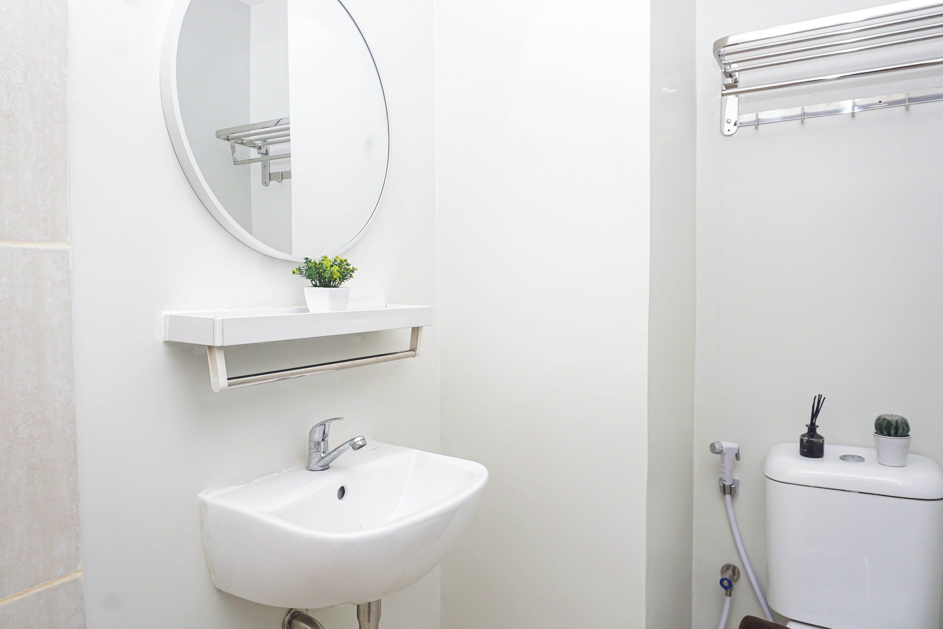 A bathroom with a white sink, a round mirror, a small potted plant, and a towel rack.