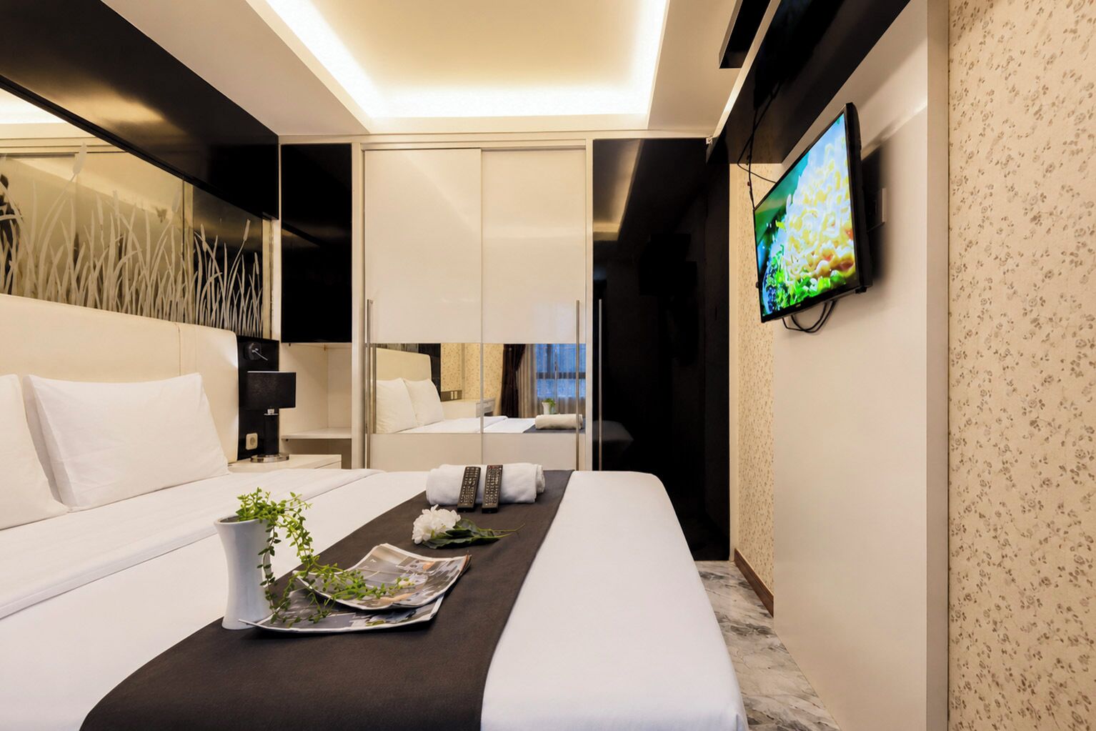 Una habitación de hotel moderna con una cama, un televisor, una mesita de noche con una planta y un espejo.
