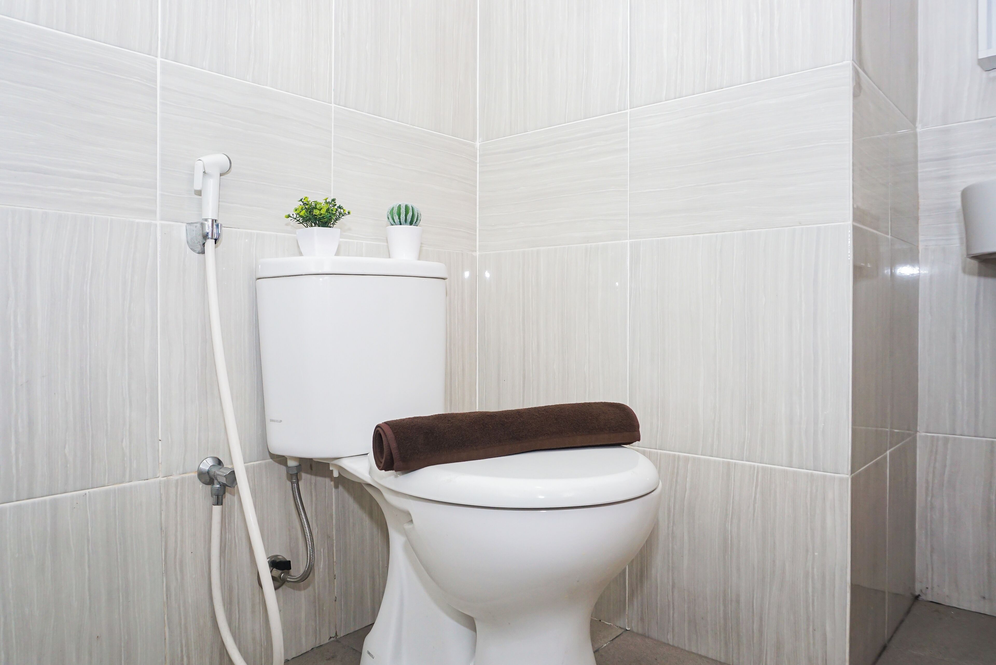 A white toilet with a brown towel on top, a small potted plant, and a toilet paper holder on the wall.