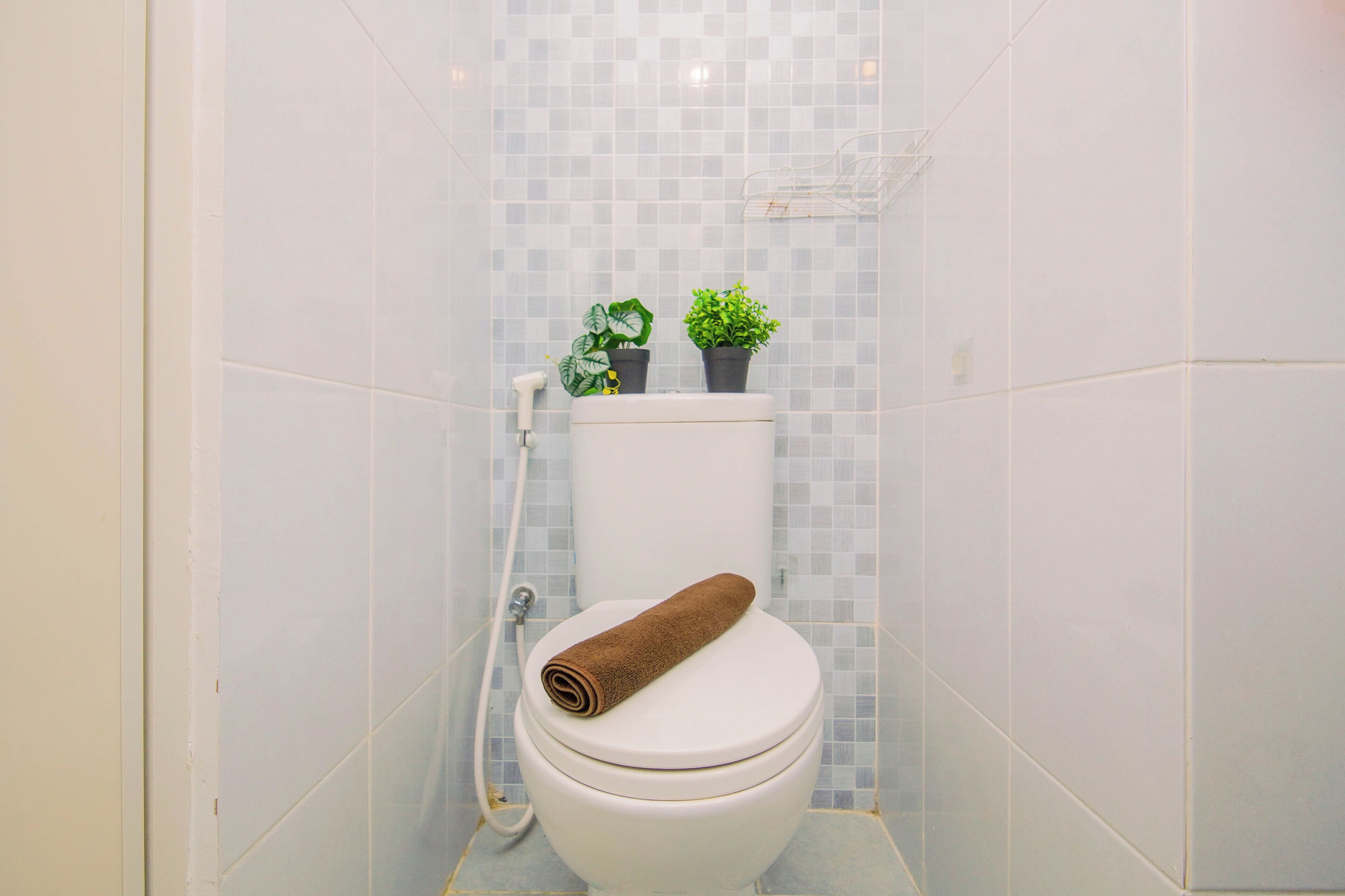 Ein Badezimmer mit Toilette, Dusche und zwei Blumentöpfen hinter der Toilette.