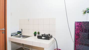 A compact kitchen with a sink, a gas stove, and a small potted plant.