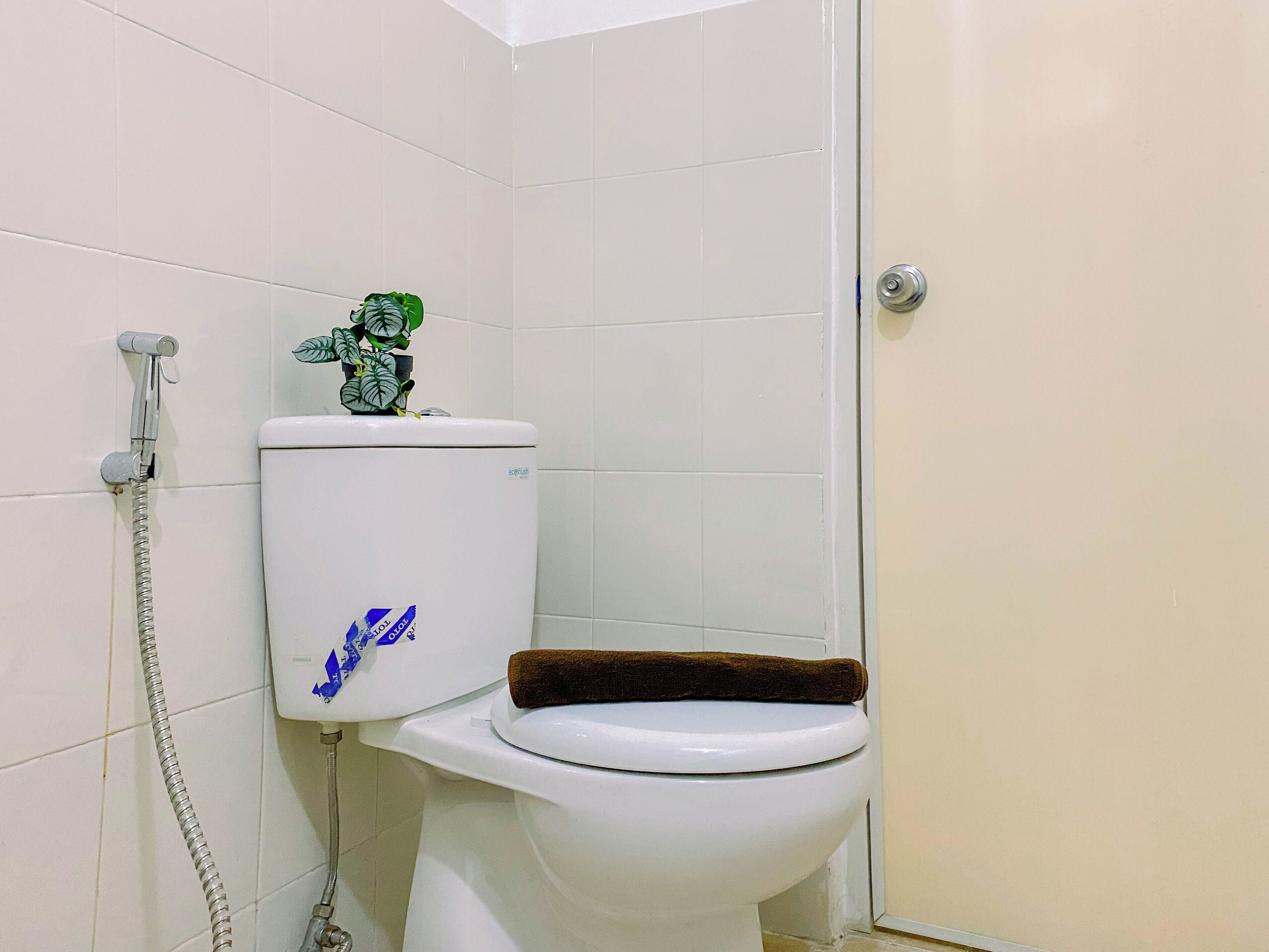 A white toilet with a brown seat cover, a shower hose, and a green plant on the tank.
