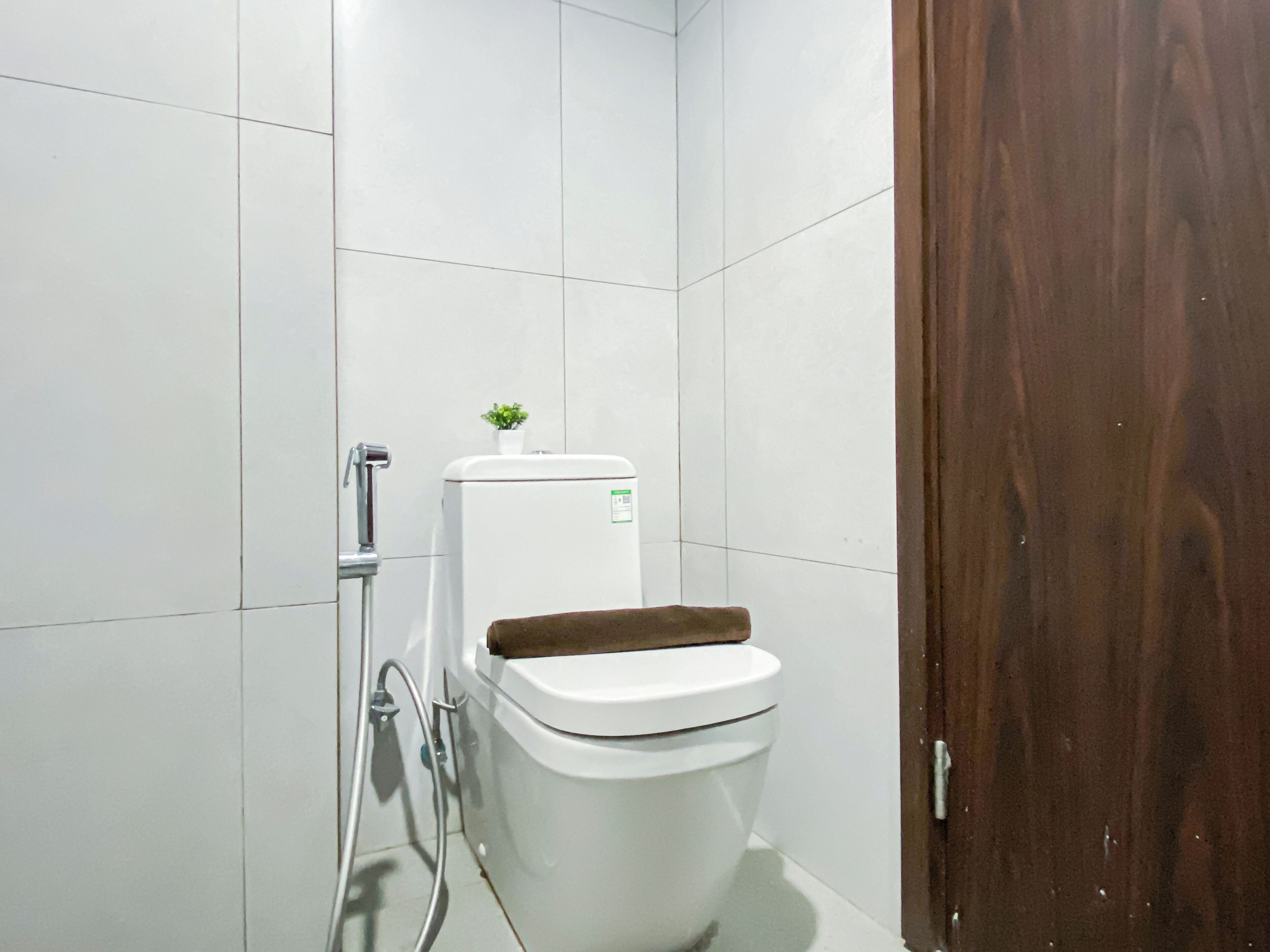 A bathroom with a white toilet, a wooden door, and a small plant on the toilet tank.