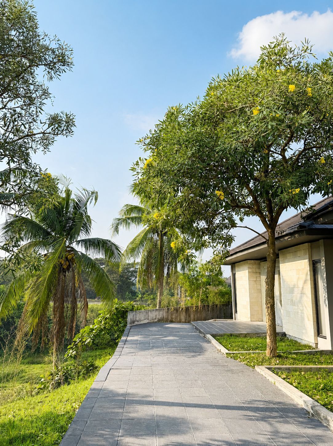A paved pathway leading to a building with a tiled roof, surrounded by greenery and palm trees.