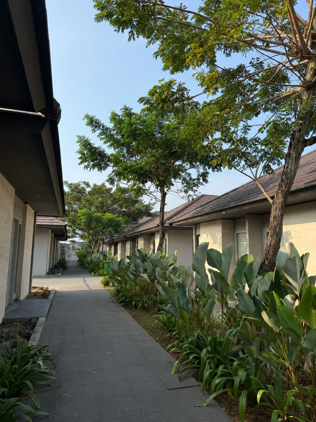 A pathway flanked by buildings with a row of windows, surrounded by greenery and trees.