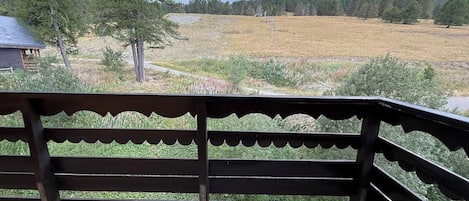 A balcony with a view of a grassy field and trees.