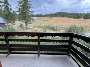 Un balcon donnant sur un champ verdoyant et des arbres.