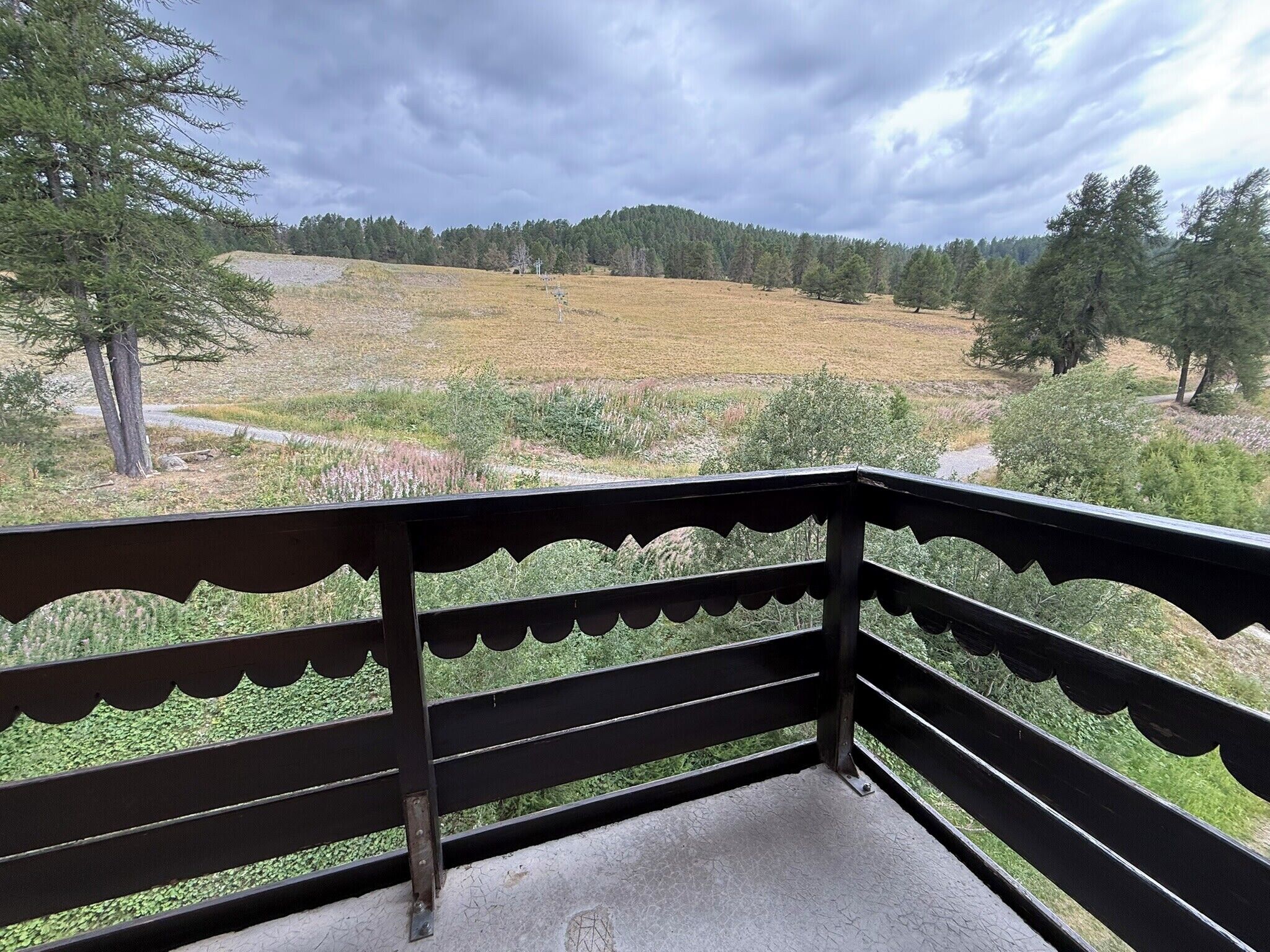 A balcony with a view of a grassy field and trees.