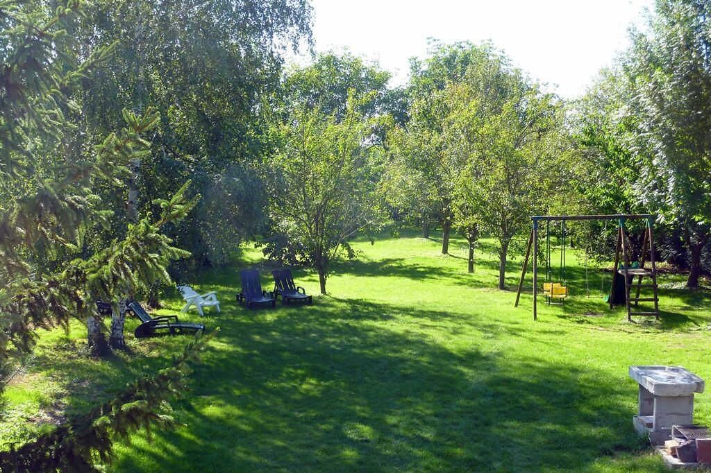 Un espace extérieur verdoyant avec une balançoire, des sièges et des arbres.